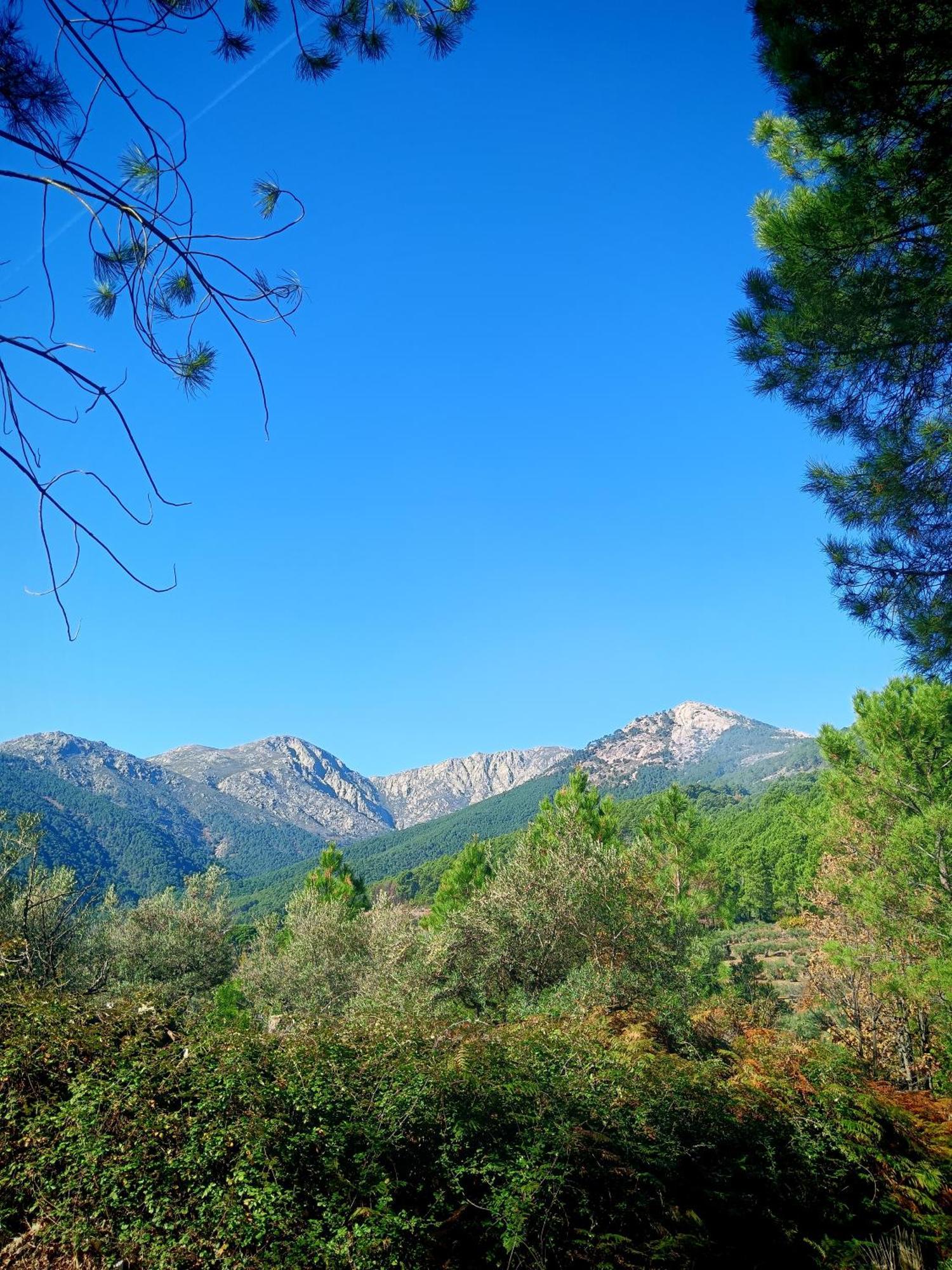 Estrellas De Gredos アレーナス・デ・サン・ペドロ エクステリア 写真